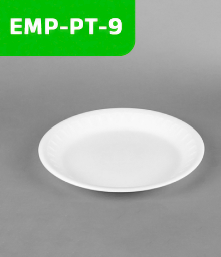 [EMP-PT-9] Plato térmico N°9